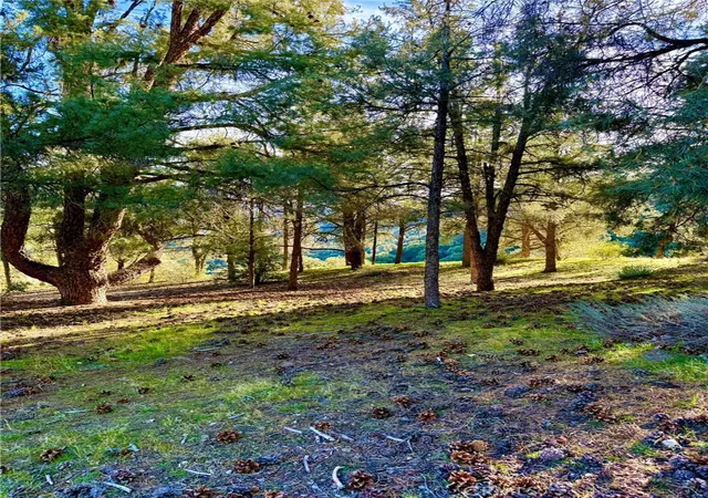 1st image of 2604 Tirol, Frazier Park, CA 93225 | MLS# SR25277954