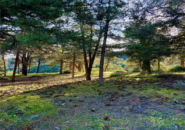 2nd image of 2604 Tirol, Frazier Park, CA 93225 | MLS# SR25277954