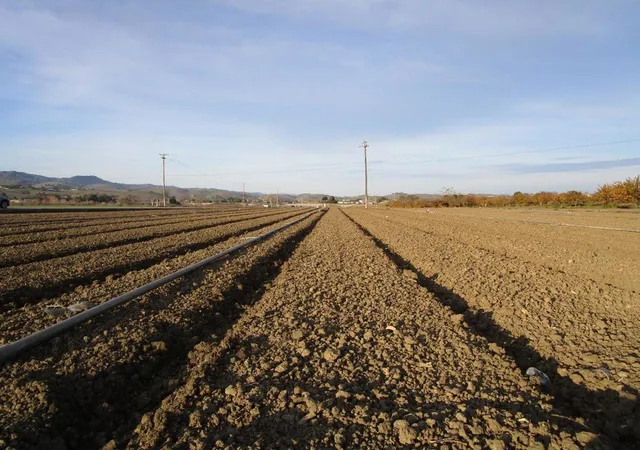 3rd image of 0 Ladd Ln, Hollister, CA 95023 | MLS# ML82029812