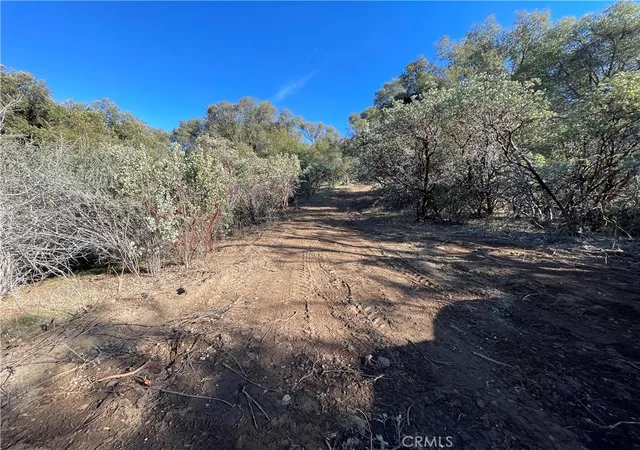 5th image of 20 Harris Cutoff Rd, Mariposa, CA 95338 | MLS# MP25279363