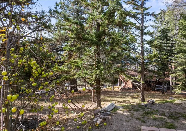 Homes for sale in Running Springs, CA | 1944 Willow, Running Springs, CA 92382 | MLS# IG25280213