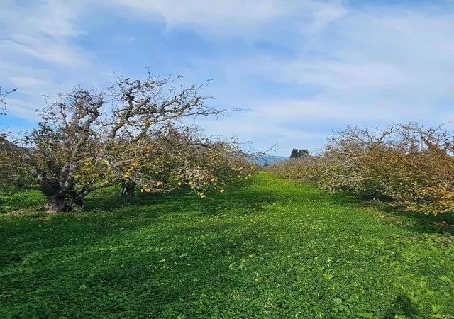 Homes for sale in Corralitos, CA | 0 Varni Rd, Corralitos, CA 95076 | MLS# ML82029949