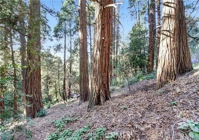 Photo 1 of Land for sale at 2662 Scenic, Crestline, CA 92325 | MLS# IG26000167 | Listing updated on 2026-06-02