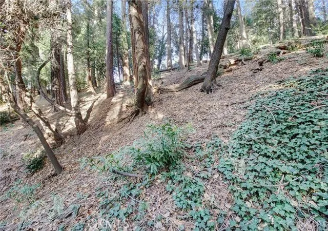 Photo 3 of Land for sale at 2662 Scenic, Crestline, CA 92325 | MLS# IG26000167 | Listing updated on 2026-06-02