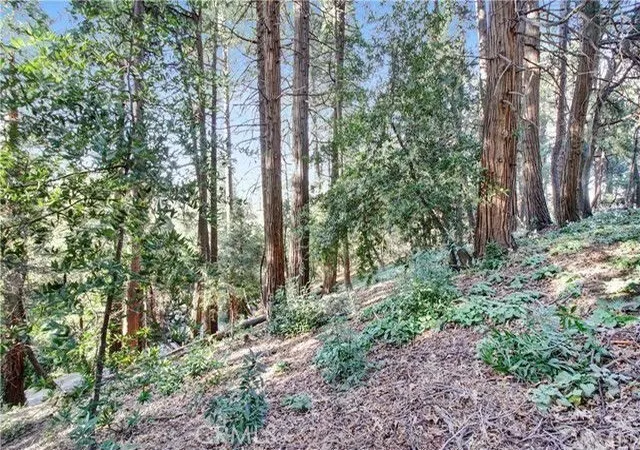 Photo 3 of Land for sale at 2662 Scenic, Crestline, CA 92325 | MLS# IG26000167 | Listing updated on 2026-06-02