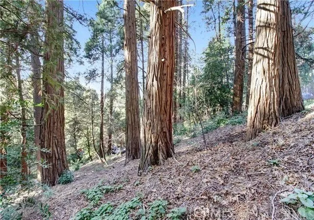 Photo 3 of Land for sale at 2661 Scenic, Crestline, CA 92325 | MLS# IG26000198 | Listing updated on 2026-06-01