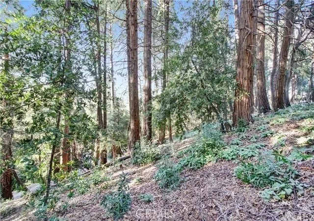 Photo 3 of Land for sale at 2661 Scenic, Crestline, CA 92325 | MLS# IG26000198 | Listing updated on 2026-06-01