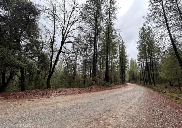 3rd image of 14550 Grizzly Hill, Nevada City, CA 95959 | MLS# SR26000562
