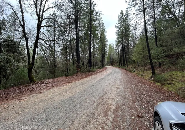 5th image of 14550 Grizzly Hill, Nevada City, CA 95959 | MLS# SR26000562