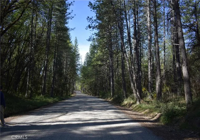 15th image of 14435 Grizzly Hill, Nevada City, CA 95959 | MLS# SR26000573