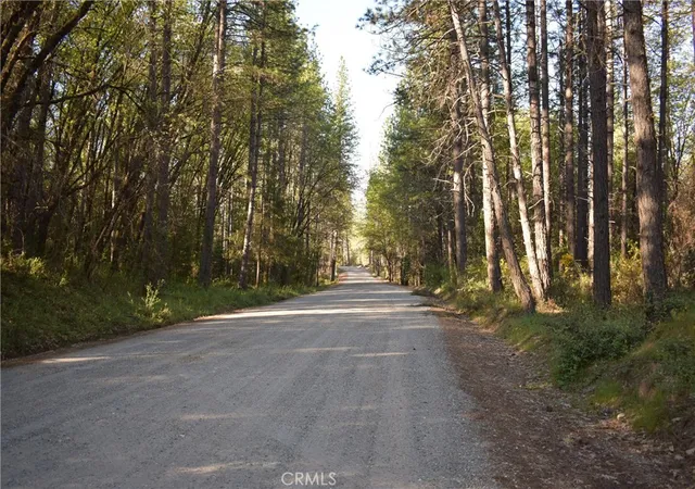 2nd image of 14435 Grizzly Hill, Nevada City, CA 95959 | MLS# SR26000573