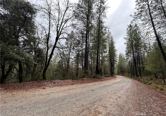 5th image of 14435 Grizzly Hill, Nevada City, CA 95959 | MLS# SR26000573