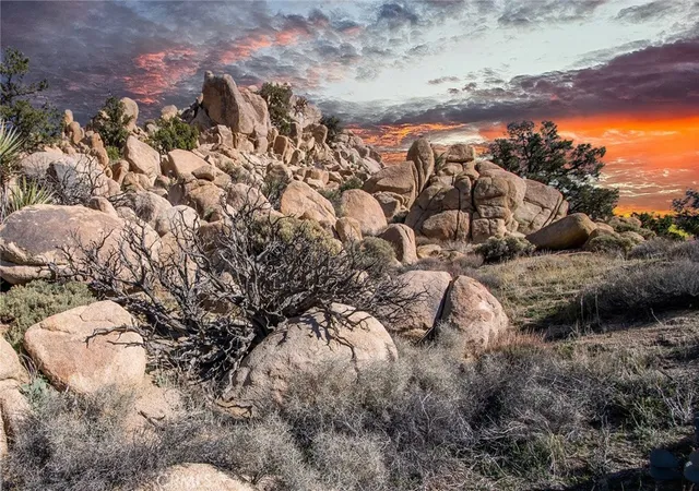 1st image of 6274 Omega, Yucca Valley, CA 92284 | MLS# JT26000019