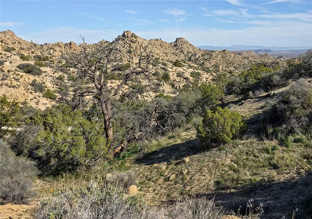 25th image of 6274 Omega, Yucca Valley, CA 92284 | MLS# JT26000019