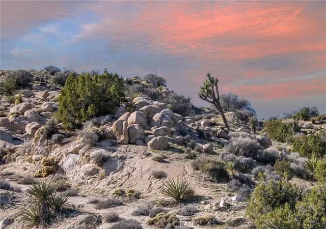 4th image of 6274 Omega, Yucca Valley, CA 92284 | MLS# JT26000019