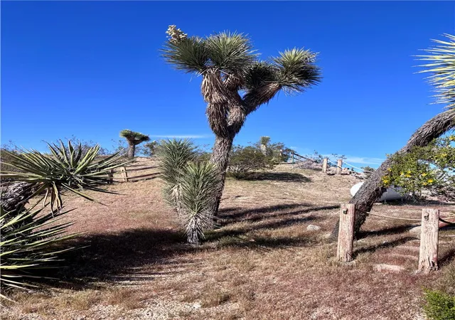 49th image of 5855 Carmelita, Yucca Valley, CA 92284 | MLS# JT26003649