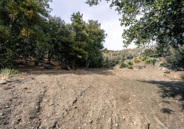 1st image of 0 Timberline Dr, Wrightwood, CA 92397 | MLS# 250046392SD