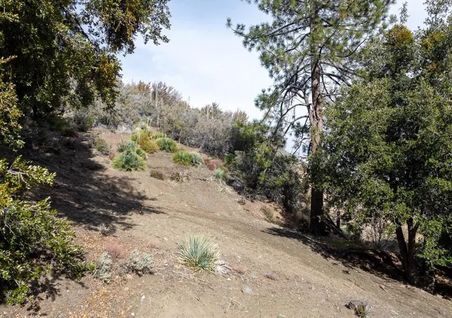 3rd image of 0 Timberline Dr, Wrightwood, CA 92397 | MLS# 250046392SD