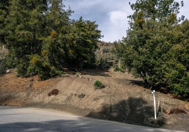 4th image of 0 Timberline Dr, Wrightwood, CA 92397 | MLS# 250046392SD