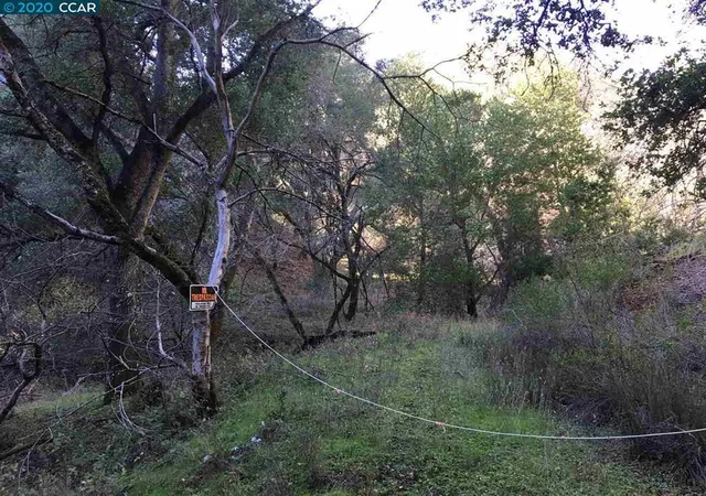 Land for sale at Lark Ln, Alamo, CA 94507 | MLS# 41120351