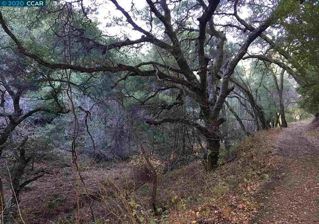 Photo 2 of Land for sale at Lark Ln, Alamo, CA 94507 | MLS# 41120351 | Listing updated on 2026-01-15