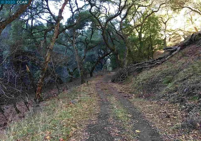 Photo 3 of Land for sale at Lark Ln, Alamo, CA 94507 | MLS# 41120351 | Listing updated on 2026-01-15