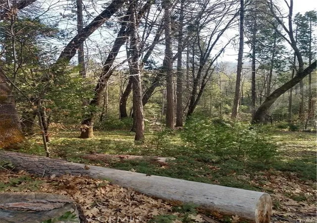 3rd image of 8 Cascadel S, North Fork, CA 93643 | MLS# FR26005239