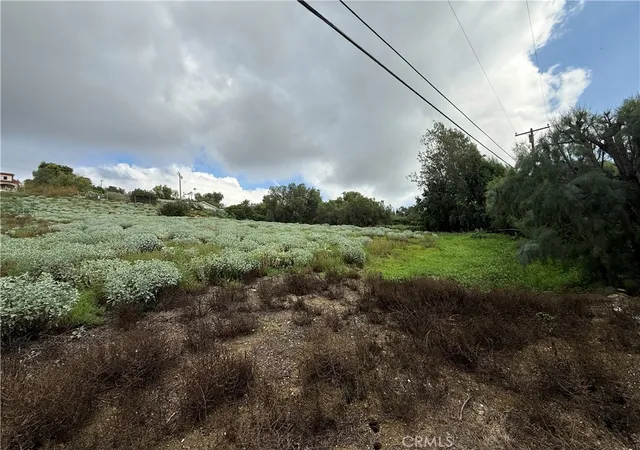 5th image of 707 Dorothea, La Habra Heights, CA 90631 | MLS# TR26005366