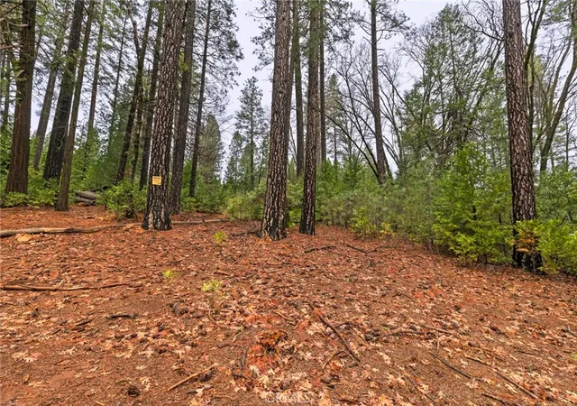 18th image of 0 Christina Dr, Forest Ranch, CA 95942 | MLS# SN26005087