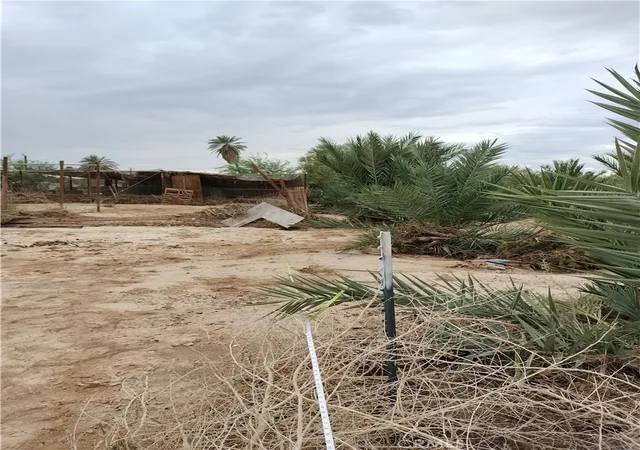 Photo 1 of Land for sale at 21 Alcott, Niland, CA 92257 | MLS# PW26007366 | Listing updated on 2026-01-12