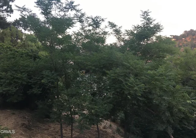 1st image of O Earl Apn 5422 009 040 Ct, Los Angeles, CA 90039 | MLS# V1-34061