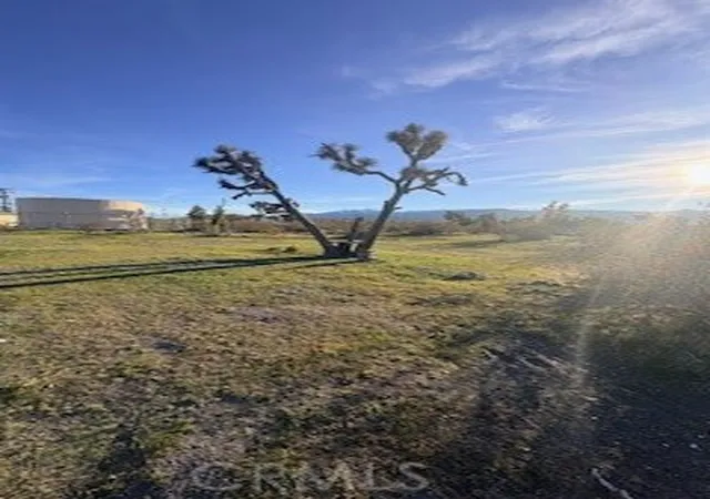 4th image of 0 Madera, Pinon Hills, CA 92372 | MLS# IV26007738