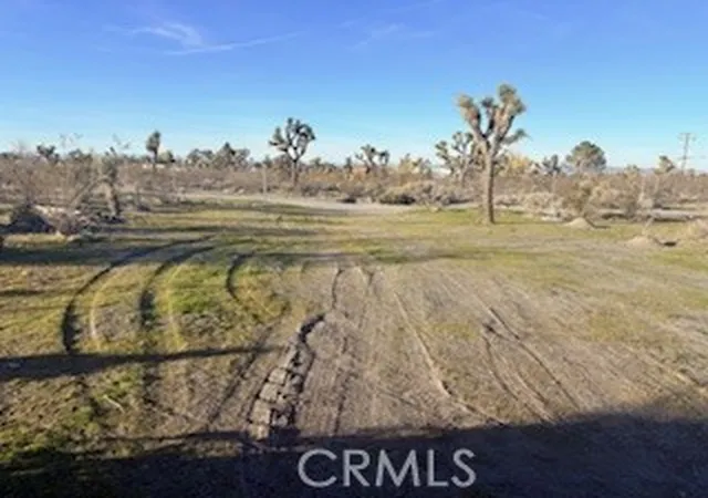 5th image of 0 Madera, Pinon Hills, CA 92372 | MLS# IV26007738