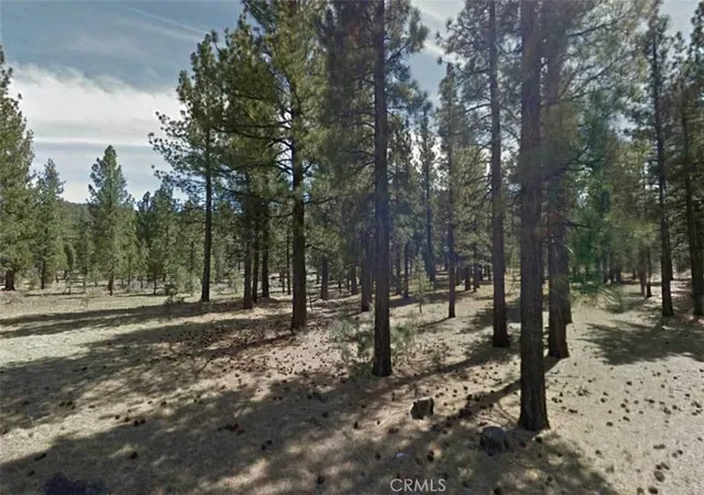 Photo 3 of Land for sale at 0 Lot 59 Ave E, Big Bear City, CA 92314 | MLS# IG26008579 | Listing updated on 2026-07-01