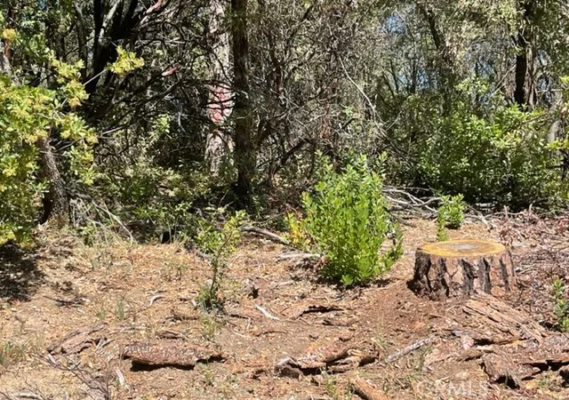 Photo 3 of Land for sale at 10 Broken Springs, Oroville, CA 95966 | MLS# OR26010139 | Listing updated on 2026-01-15