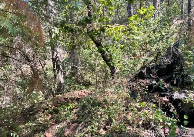 Photo 4 of Land for sale at 12 Broken Springs, Oroville, CA 95966 | MLS# OR26010156 | Listing updated on 2026-01-15