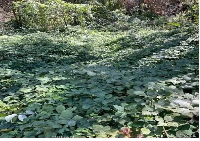 Photo 3 of Land for sale at 27 Broken Springs, Oroville, CA 95966 | MLS# OR26010166 | Listing updated on 2026-01-15