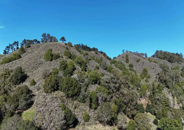 5th image of 1488 Alvarado Rd, Berkeley, CA 94705 | MLS# 41121037