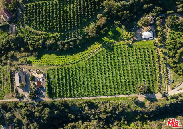 22nd image of 4488 Foothill Rd, Carpinteria, CA 93013 | MLS# 26637459