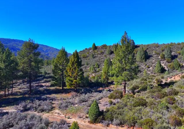 1st image of 1 Butterfly Peak Rd, Mountain Center, CA 92561 | MLS# 219141481DA