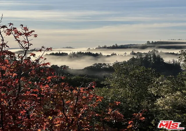 66th image of 20799 Hwy 128, Yorkville, CA 95494 | MLS# 26638759