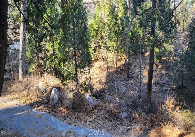 Photo 1 of Land for sale at 0 Meadow Dr, Lake Arrowhead, CA 92352 | MLS# IG26010749 | Listing updated on 2026-01-16