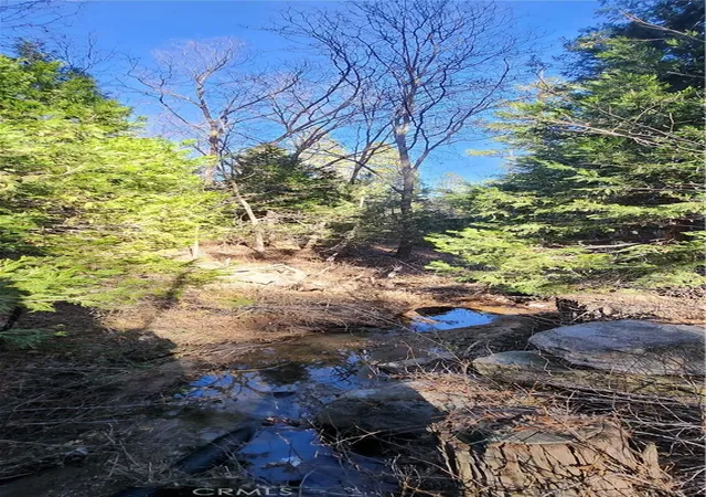Photo 2 of Land for sale at 0 Meadow Dr, Lake Arrowhead, CA 92352 | MLS# IG26010749 | Listing updated on 2026-01-16