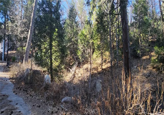 Photo 3 of Land for sale at 0 Meadow Dr, Lake Arrowhead, CA 92352 | MLS# IG26010749 | Listing updated on 2026-01-16