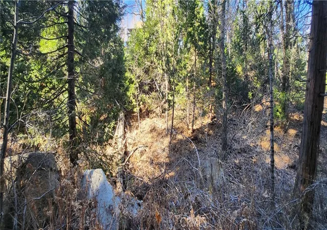 Photo 3 of Land for sale at 0 Meadow Dr, Lake Arrowhead, CA 92352 | MLS# IG26010749 | Listing updated on 2026-01-16