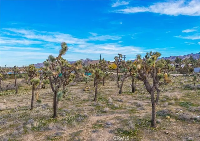 5th image of 8129 Stardust, Yucca Valley, CA 92284 | MLS# JT25280207