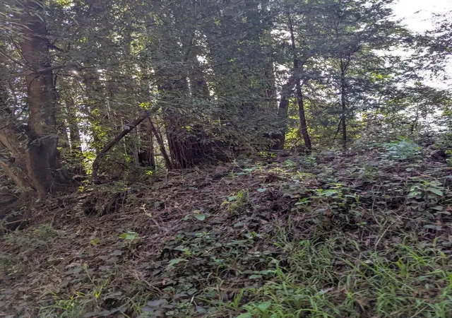 Photo 3 of Land for sale at 8055 Glen Hvn Rd, Soquel, CA 95073 | MLS# ML82031439 | Listing updated on 2026-10-01