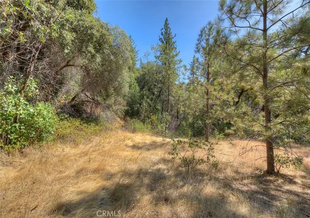 1st image of 8700 Oro Quincy, Berry Creek, CA 95916 | MLS# OR26011145