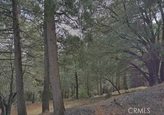 Photo 2 of Land for sale at 0 Burnt Ml Cyn, Cedarpines Park, CA 92322 | MLS# CV26011425 | Listing updated on 2026-01-28