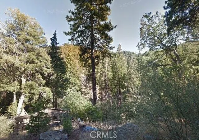 Photo 3 of Land for sale at 0 Burnt Ml Cyn, Cedarpines Park, CA 92322 | MLS# CV26011425 | Listing updated on 2026-01-28